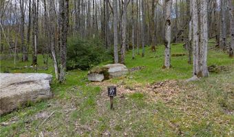 Es-97 Twisted Oak Path, Banner Elk, NC 28604