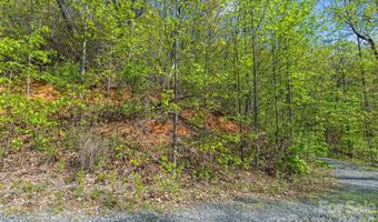 21 Reillys Bluff Rd 1, Barnardsville, NC 28709