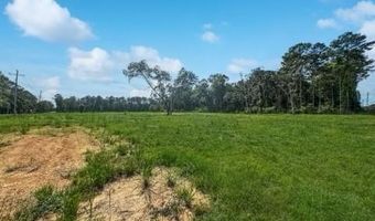 3 431 Acres HIGHWAY 16 None, Amite, LA 70422