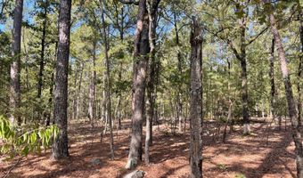 Tract 52 E 1885 Road, Antlers, OK 74523