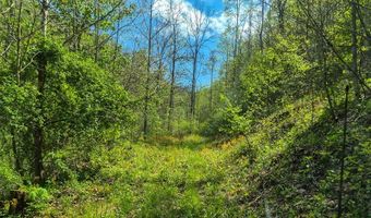 2789 Dry Fork Rd, Bandy, VA 24602