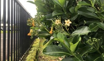 1204 KIHONUA Pl, Hilo, HI 96720