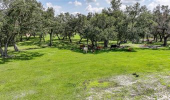 3993 NE BOBAY Rd, Arcadia, FL 34266