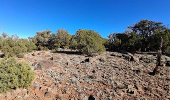 0202 County Rd, Concho, AZ 85924