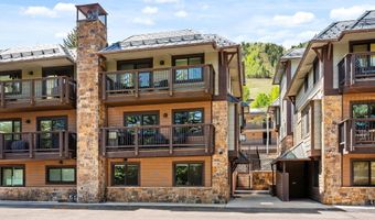 650 S Monarch St 7, Aspen, CO 81611