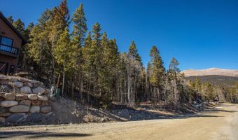 421 N Aspen St, Alma, CO 80420