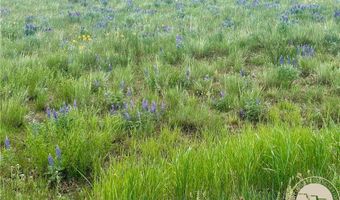 15 9 Ac Buck Creek Rd, Absarokee, MT 59001