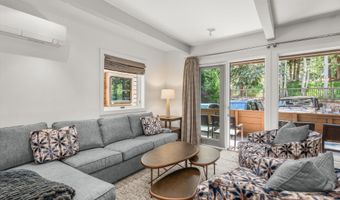 610 S West End St Unit K103, Aspen, CO 81611