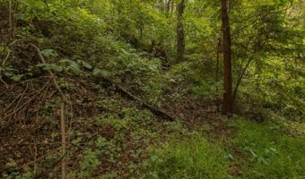Lot 02 Cathedral DR, Aptos, CA 95003