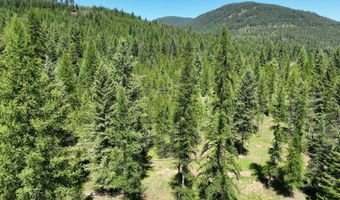 Nna 196 Acres Hwy 95, Bonners Ferry, ID 83805