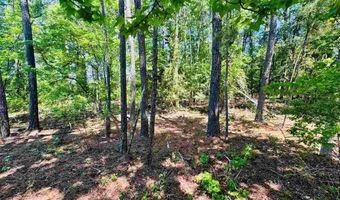 Grants Mill Rd W, Bennettsville, SC 29512