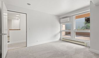 605 E Main St #8, Aspen, CO 81611