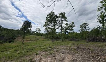 3968 HWY 167, Ash Flat, AR 72513