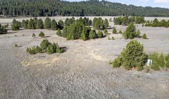 10201 Packsaddle Rd, Cascade, ID 83611