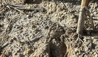00000 CR 140, Alexander, KS 67513