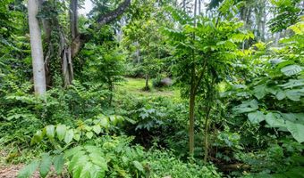 54-1749 PAIPO KANE Rd, Kapaau, HI 96755
