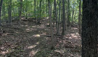 572 Dameron Rd, Ballard, WV 24918