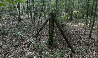 137 Shorter Rd, Braxton, MS 39044