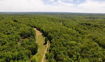 503 County Road 101, Alton, MO 65606