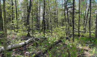 Map 202-Lot 39 Parker Road, Bethlehem, NH 03574