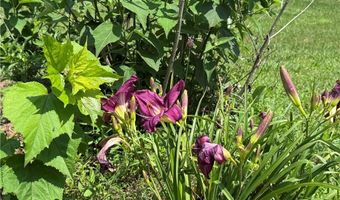 315 Woody Rd NW, Adairsville, GA 30103