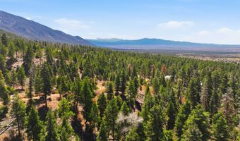 El Salto Road 13 Plus Acres, Arroyo Seco, NM 87514