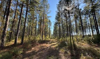 TBD Binnicker Bridge Road, Bamberg, SC 29003