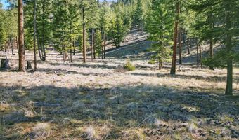 13902 Highland Trl, Alberton, MT 59820