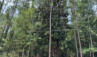 0 Tunica St, Bay St. Louis, MS 39520