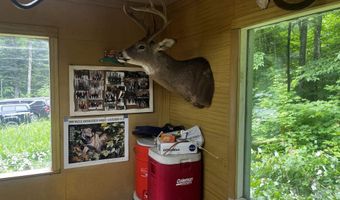40 Acres The Grade, Amasa, MI 49920