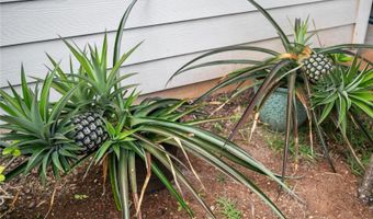 91-1108 Kaihohonu St, Ewa Beach, HI 96706