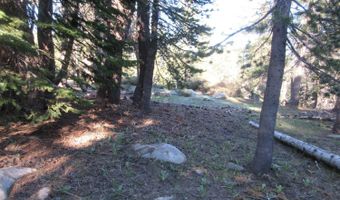 175 Silver Tip Dr, Bear Valley, CA 95223