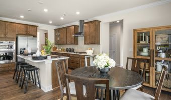 5298 Jessie Dr Plan: NORMAN, Apex, NC 27539