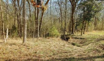 561 Church Rd, Batesburg, SC 29006