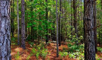 Arthur Drive, Brookhaven, MS 39601