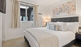 650 S Monarch St Unit 11, Aspen, CO 81611