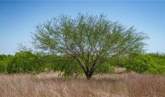 Fm-735, Alice, TX 78332