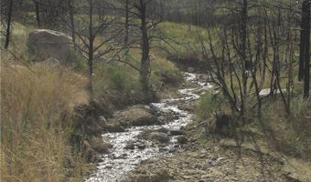 nhn Ranger Way lot Bvr 942-3, Belfry, MT 59008