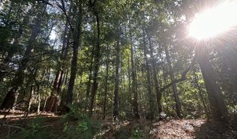 Lot 3a Elberton Highway, Lincolnton, GA 30817