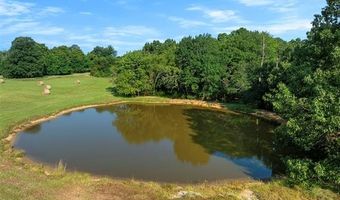 415203 Cornelius Rd, Antlers, OK 74523