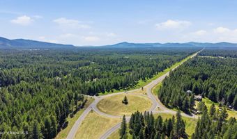 13118 E Hellroaring Rd, Athol, ID 83801