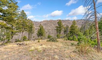 520 Isaac Ln, Bellvue, CO 80512