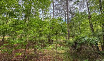 Willow Lane lot 1, Alexander City, AL 35010