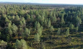 Buffalo Drive, Anderson, CA 96007