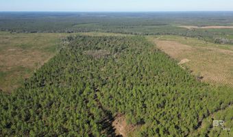 25001 Highway 112, Bay Minette, AL 36507