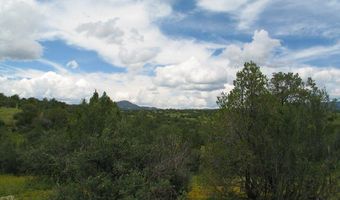 Tract C XYZ Ranch Road, Silver City, NM 88061