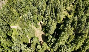 1710 Tower Mountain Rd, Blanchard, ID 83804