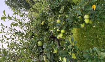 356 Range Rd, Atkinson, ME 04426