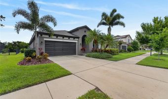 7020 OLD BENTON Dr, Apollo Beach, FL 33572