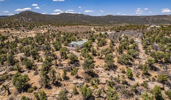 413 Delasso Loos Rd, Blanco, NM 87412